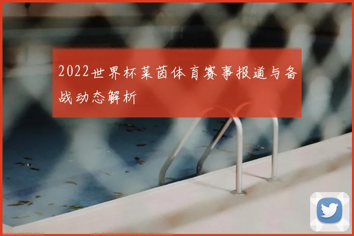 2022世界杯莱茵体育赛事报道与备战动态解析