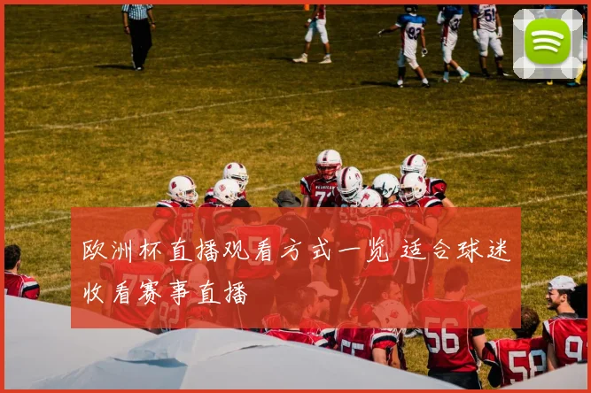 欧洲杯直播观看方式一览 适合球迷收看赛事直播