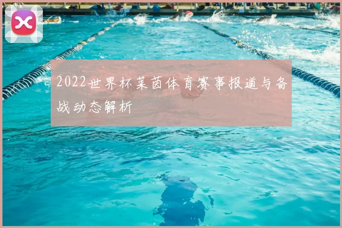 2022世界杯莱茵体育赛事报道与备战动态解析