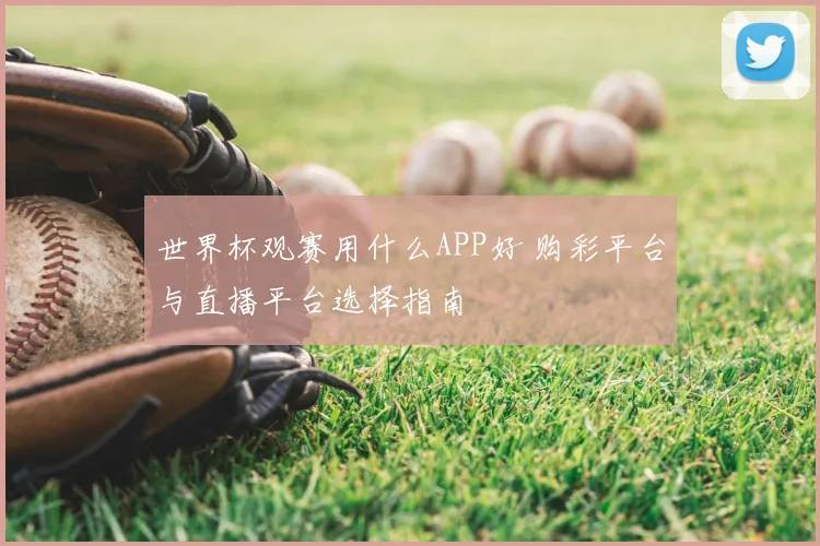 世界杯观赛用什么APP好 购彩平台与直播平台选择指南