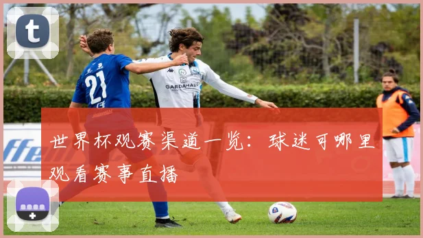 世界杯观赛渠道一览：球迷可哪里观看赛事直播
