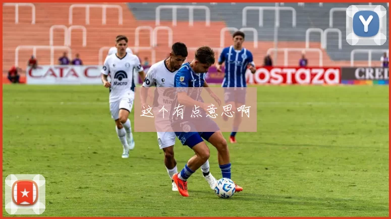 这个有点意思啊