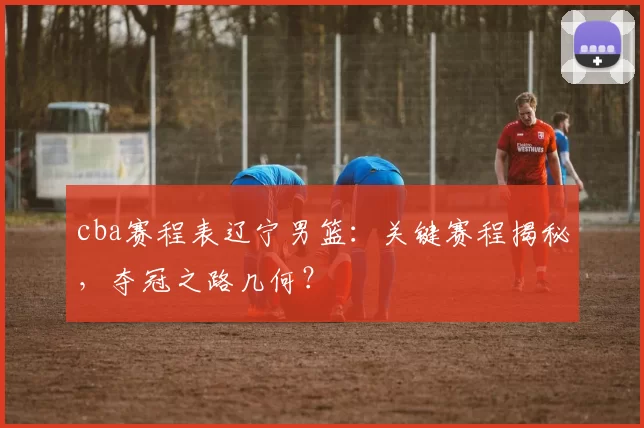 cba赛程表辽宁男篮：关键赛程揭秘，夺冠之路几何？