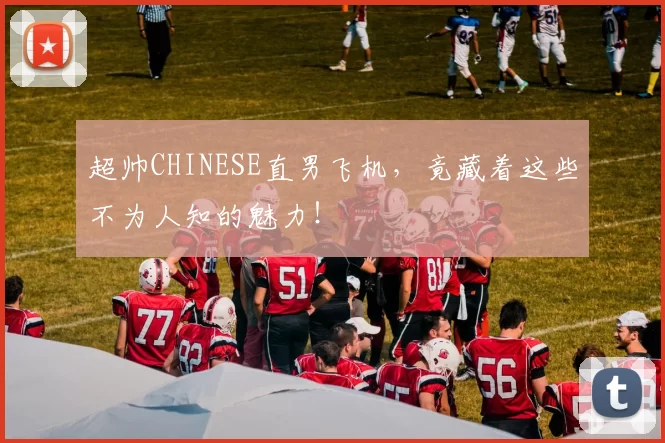 超帅CHINESE直男飞机，竟藏着这些不为人知的魅力！