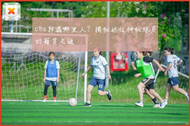 cba郭磊哪里人？揭秘这位神秘球员的籍贯之谜