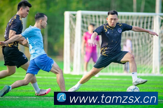 开云(中国)Kaiyun·官方网站 - 登录入口发展历程