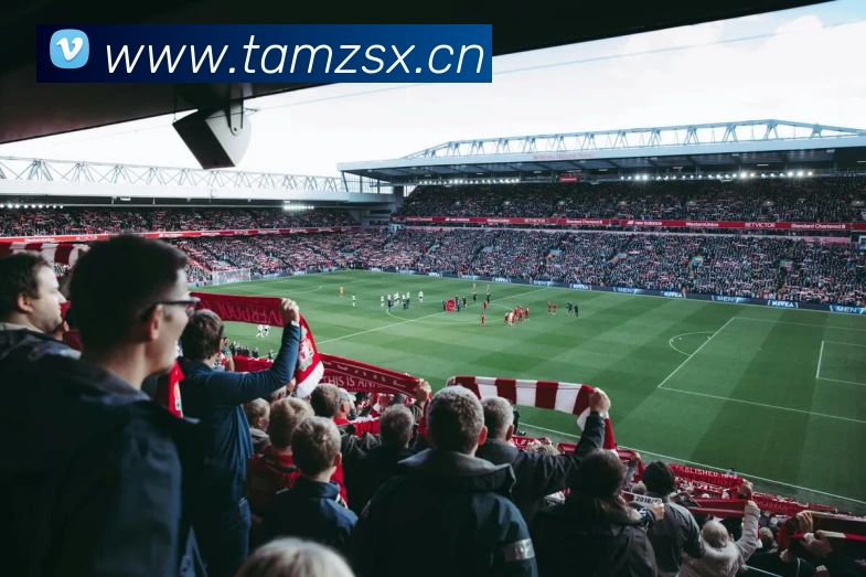 开云app登录入口 - 开云(中国)APP 封面图